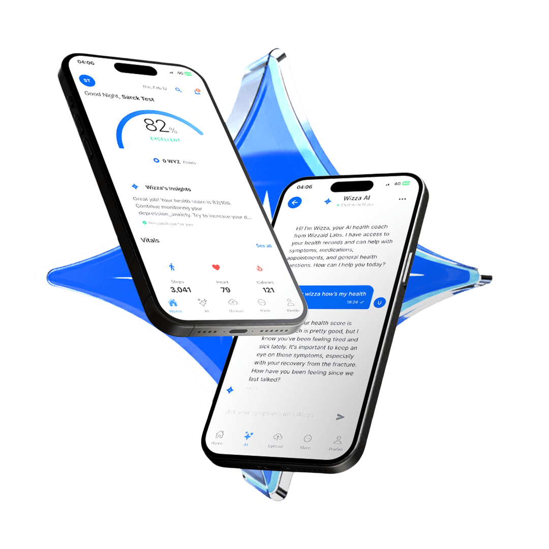 Wizzaid App Interface